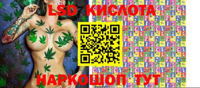spice Кунгур