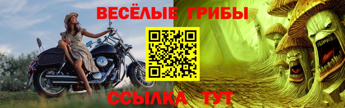 Бузулук  Псилоцибиновые грибы Psilocybine cubensis  Вход с VPN 